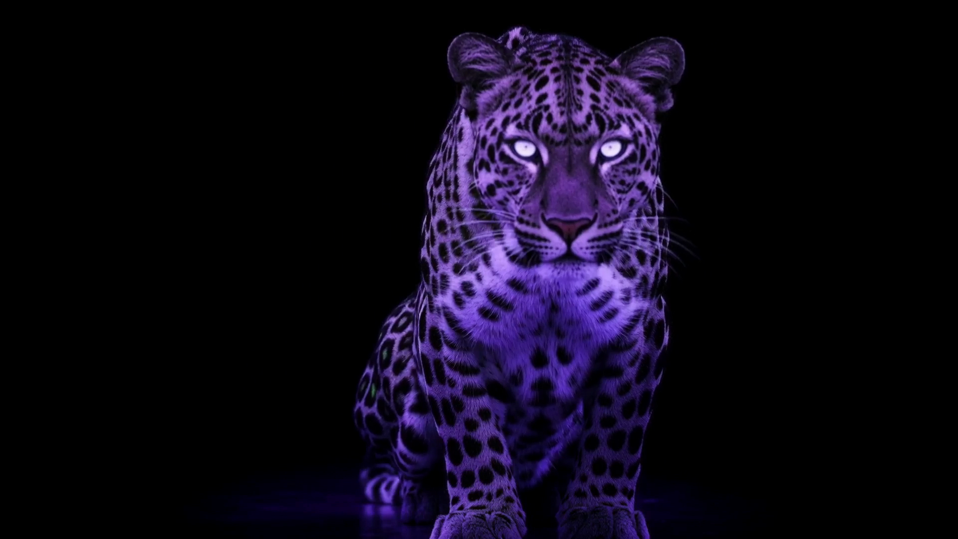 Omni Telecom purple leopard mascot